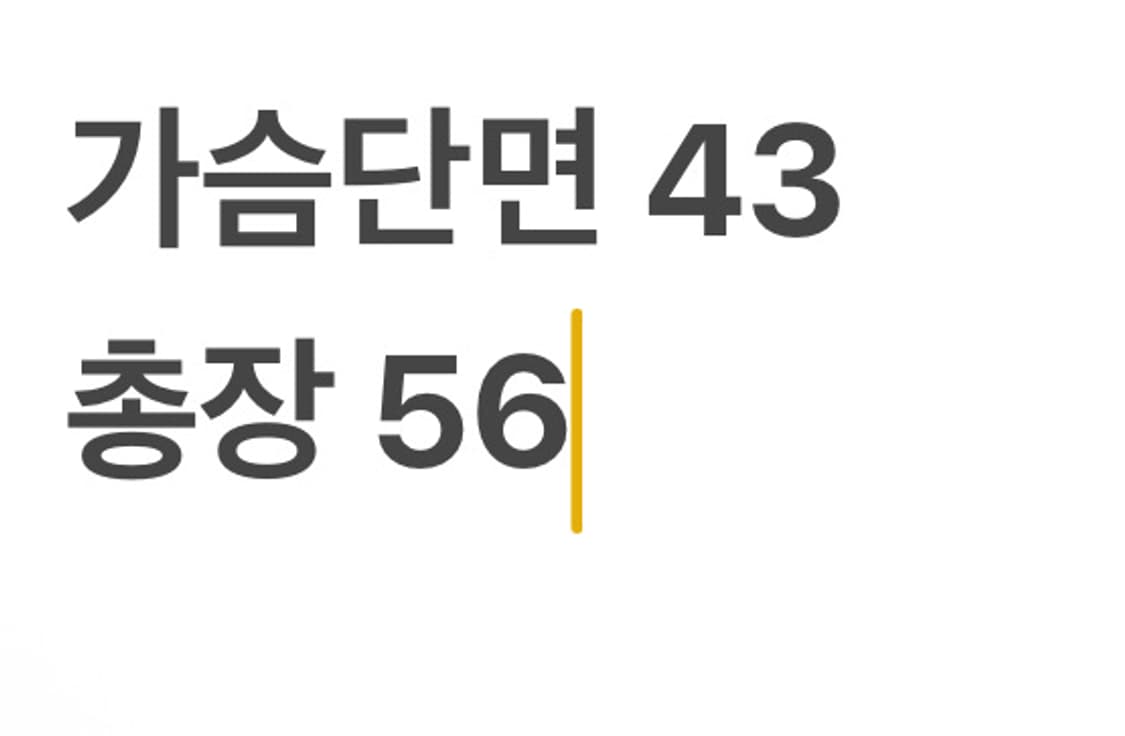 폴로랄프로렌 빅포니 반팔 카라티 상품이미지6