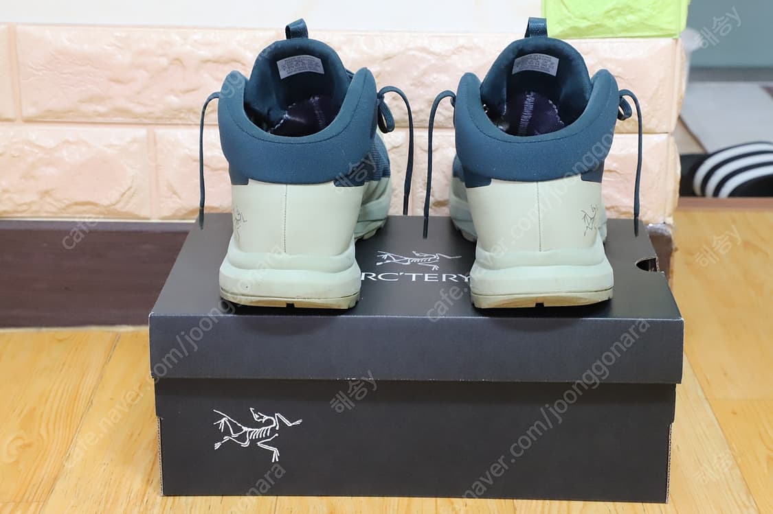 ARCTERYX AERIOS FL 2 Mid GTX (아크테릭스에어리어스 상품이미지2