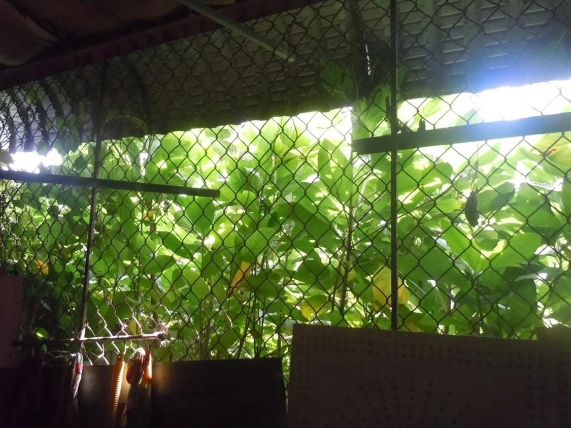 풀박🍎니콘 쿨픽스 S6000 레드 ❣️손떨림 방지 감성디카 ✨ 상품이미지5