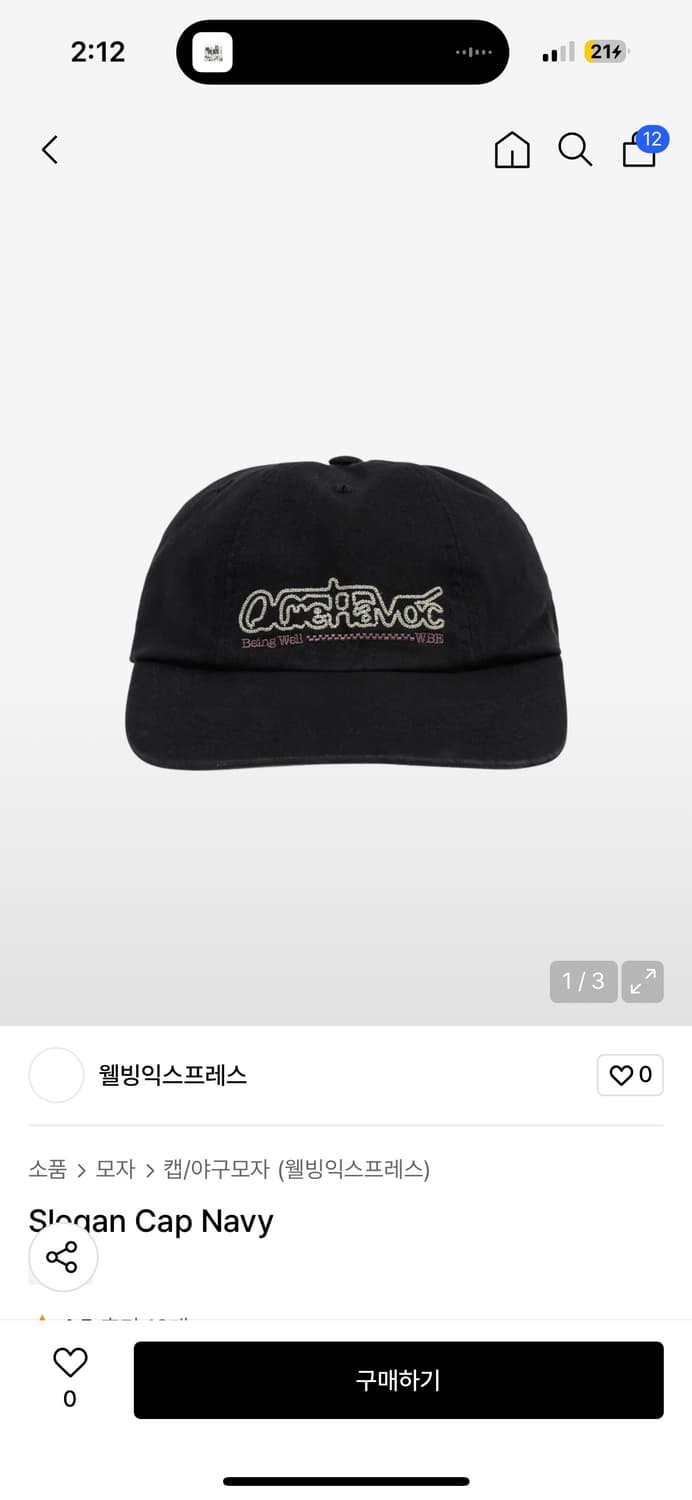 웰빙익스프레스 모자 cap 상품이미지1