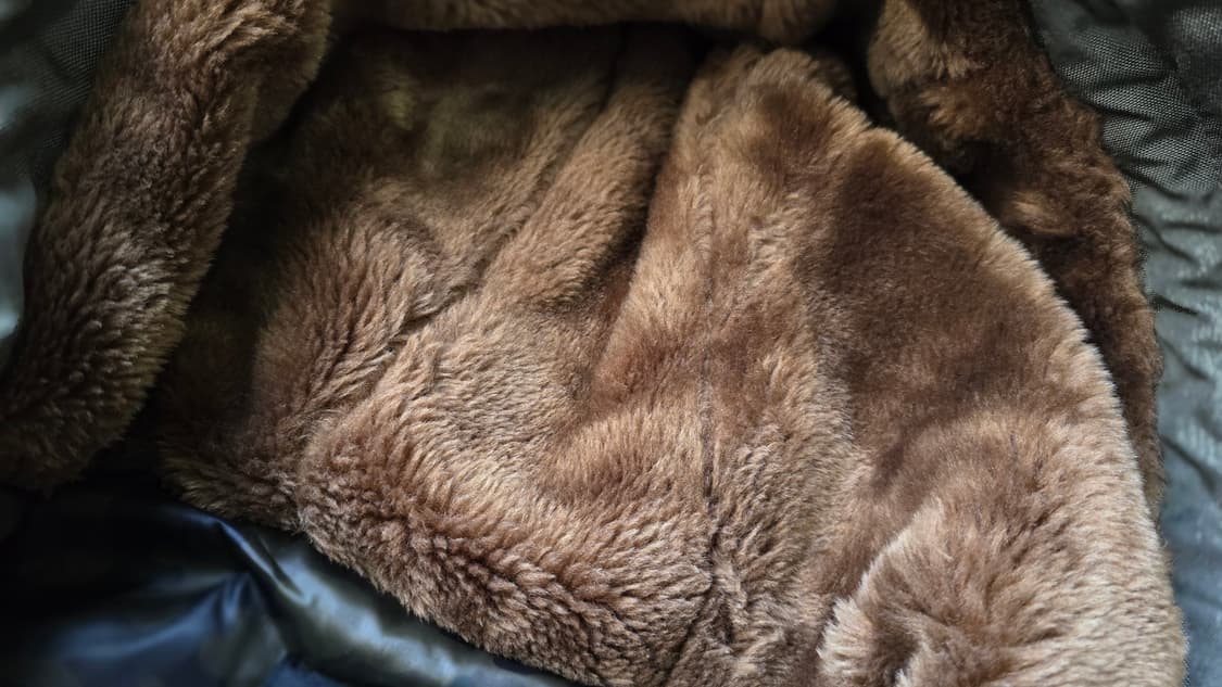 초레어) SCHOTT 쇼트 패딩 M 싸이즈 판매 합니다. 카모 밀리터리 상품이미지5