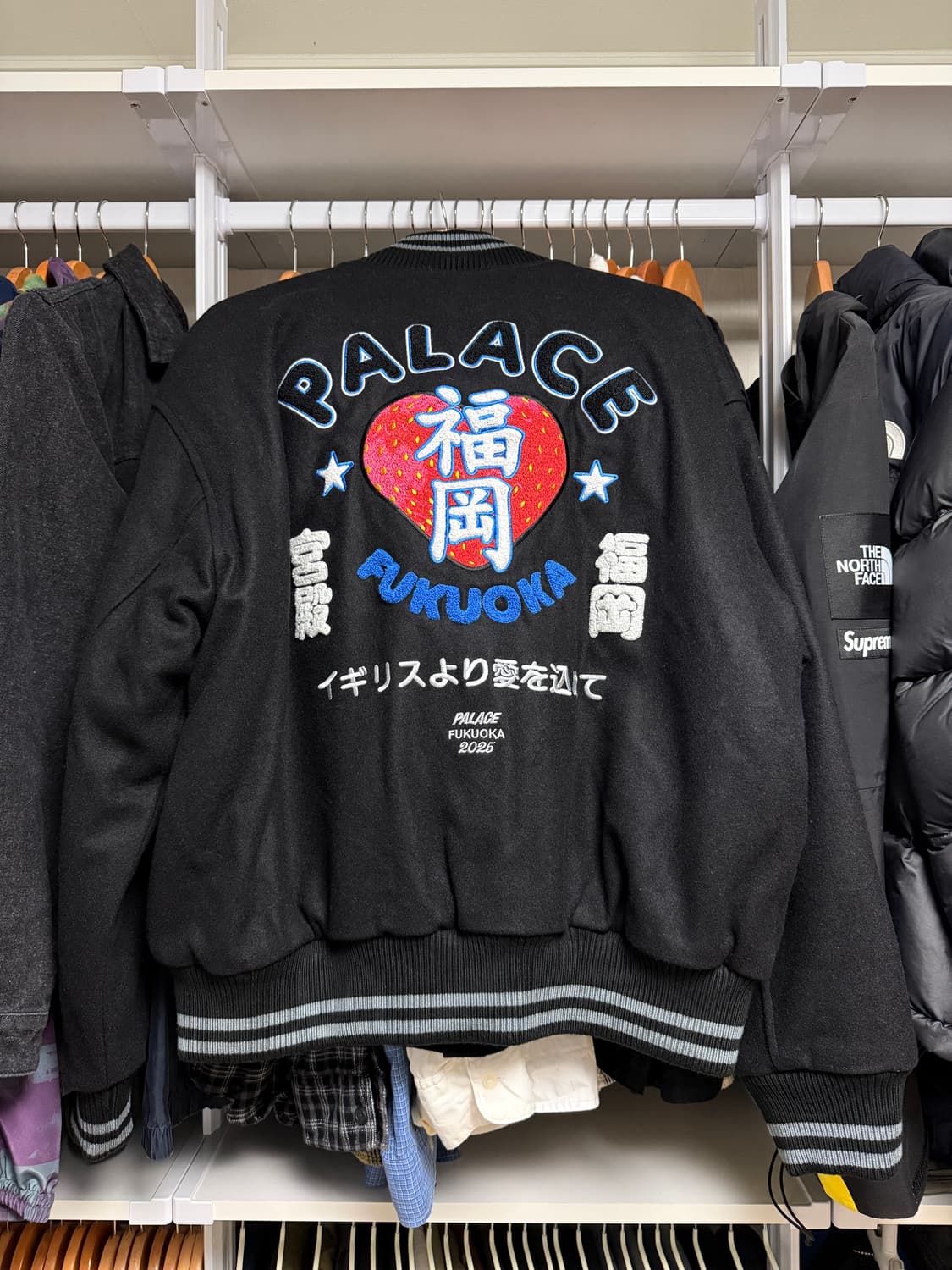 팔라스 후쿠오카 바시티 XL 상품이미지1