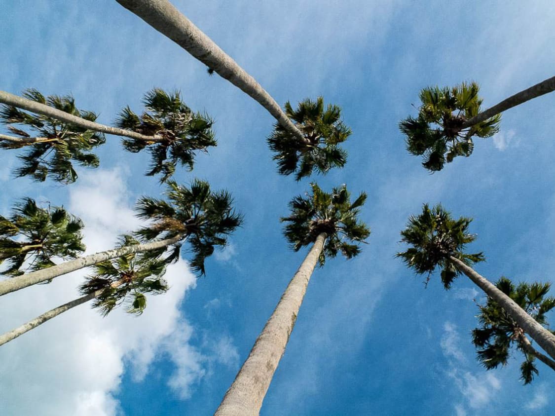 (A급) Fujifilm F100fd (후지필름  F100fd) 상품이미지8