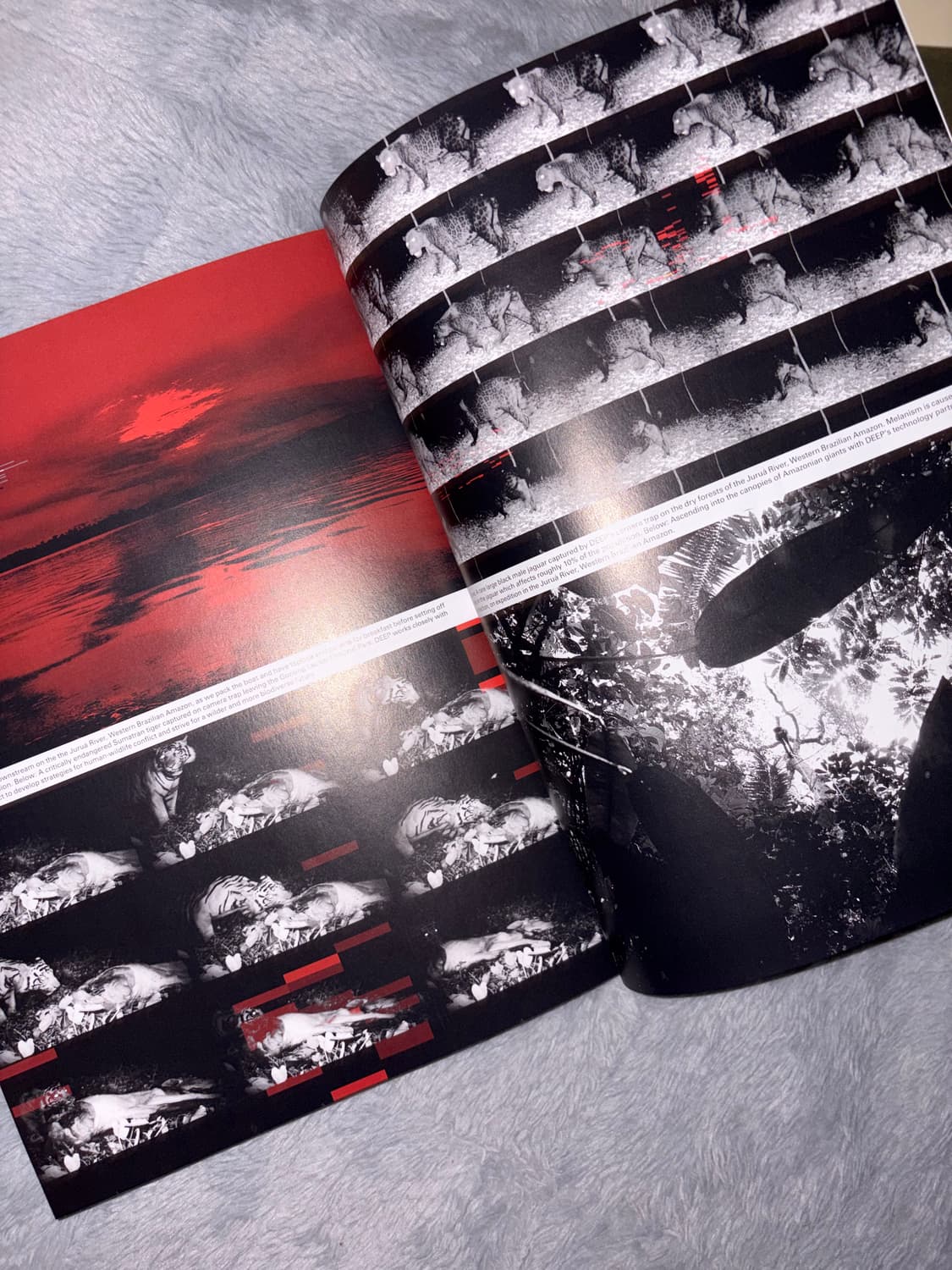 i-D Magazine 23FW / 단순 개봉 상품 상품이미지4