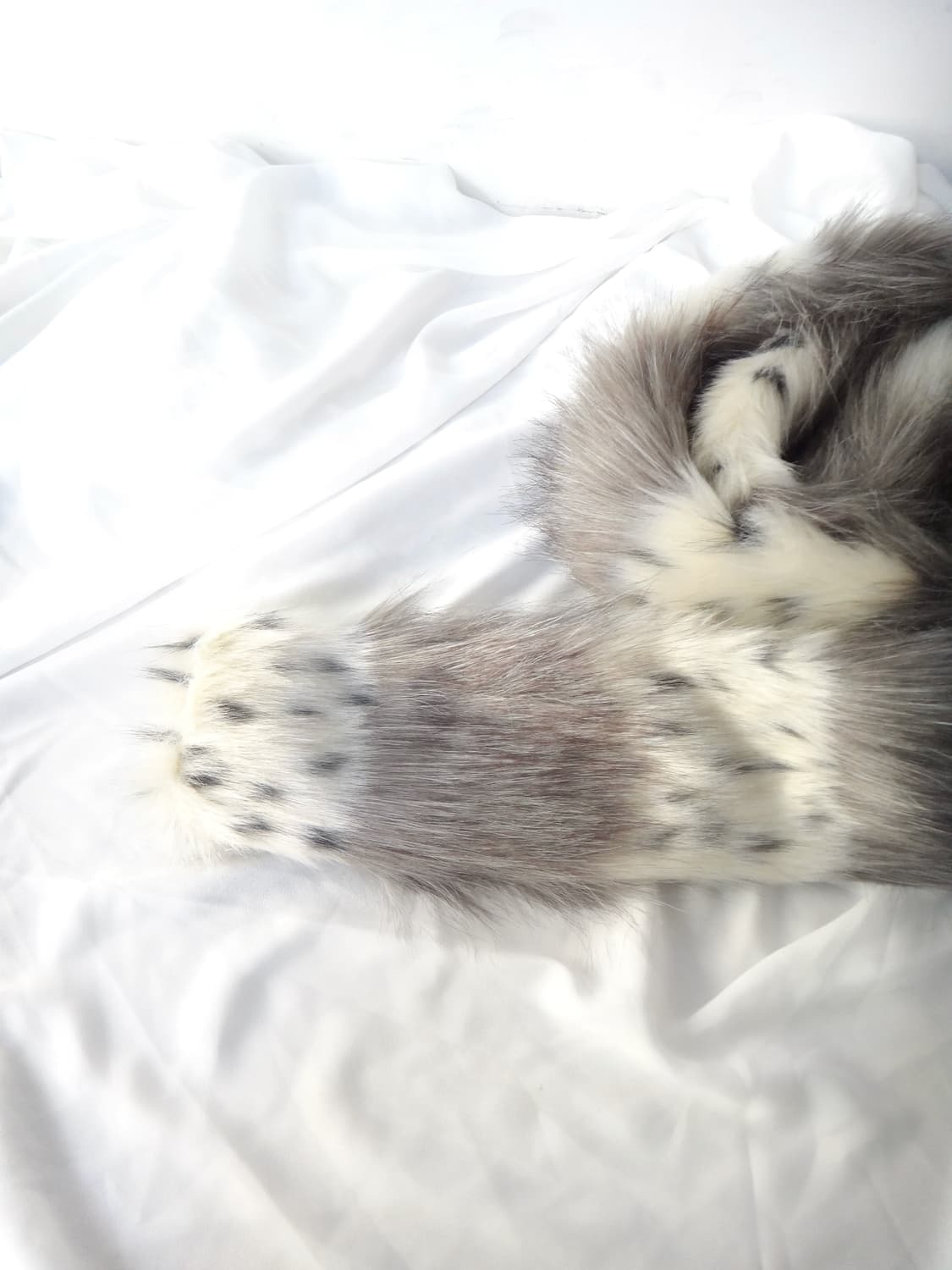 Winter color dot fur muffler  상품이미지1