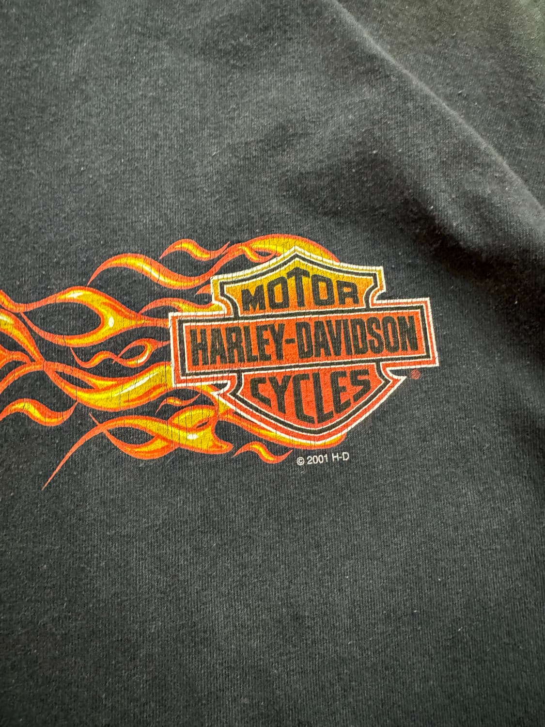 00s 할리데이비슨 플레임 타이다잉 롱슬리브  상품이미지4