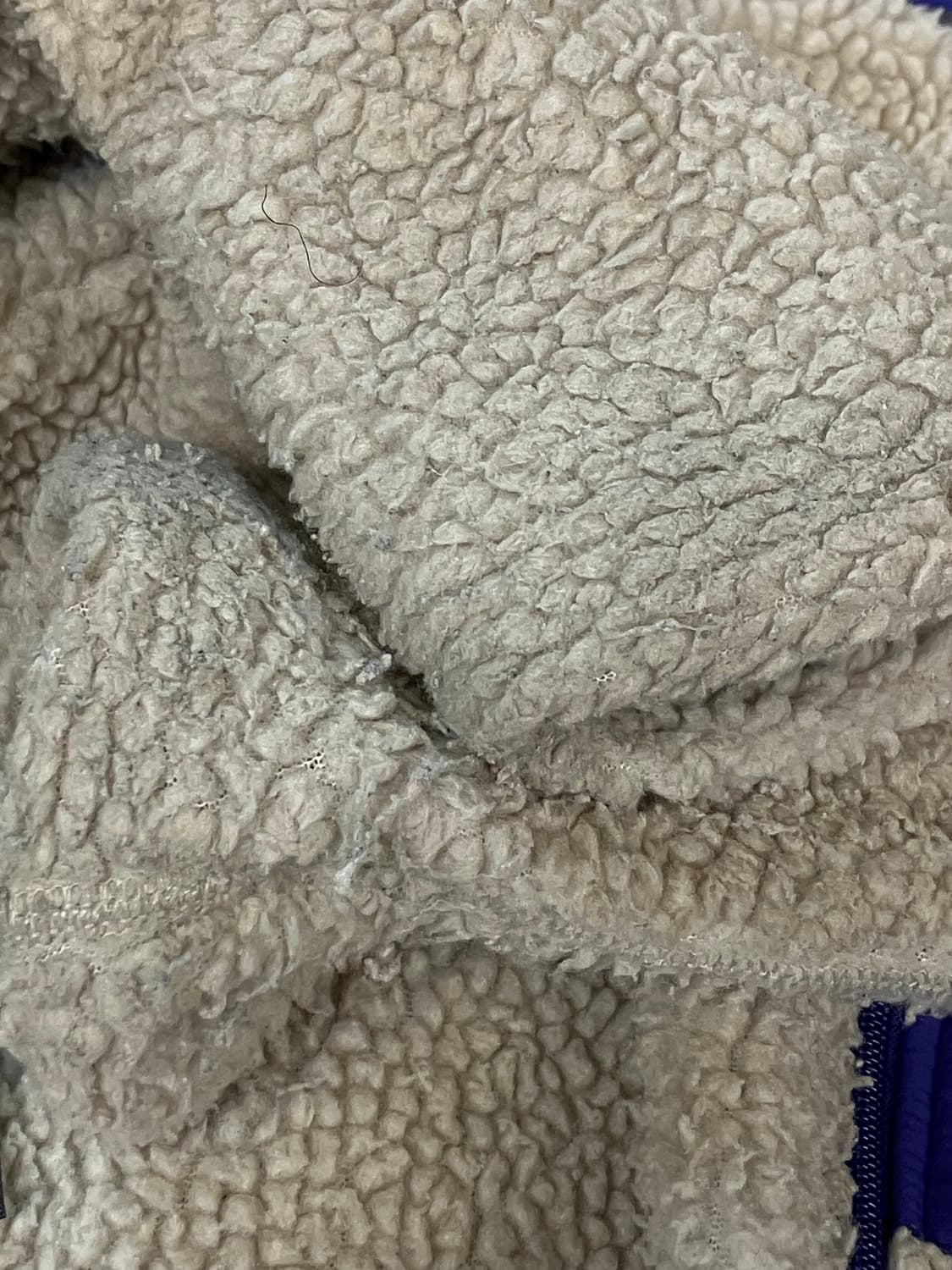 파타고니아 플리스 베이지 L  #csz2009 표 상품이미지7