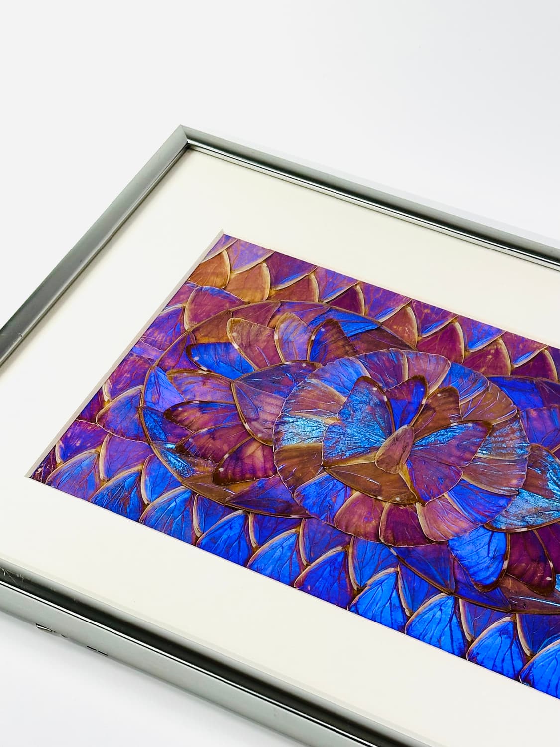 빈티지 브라질 모르포 버터플라이 윙 콜라주 아트 액자 상품이미지2