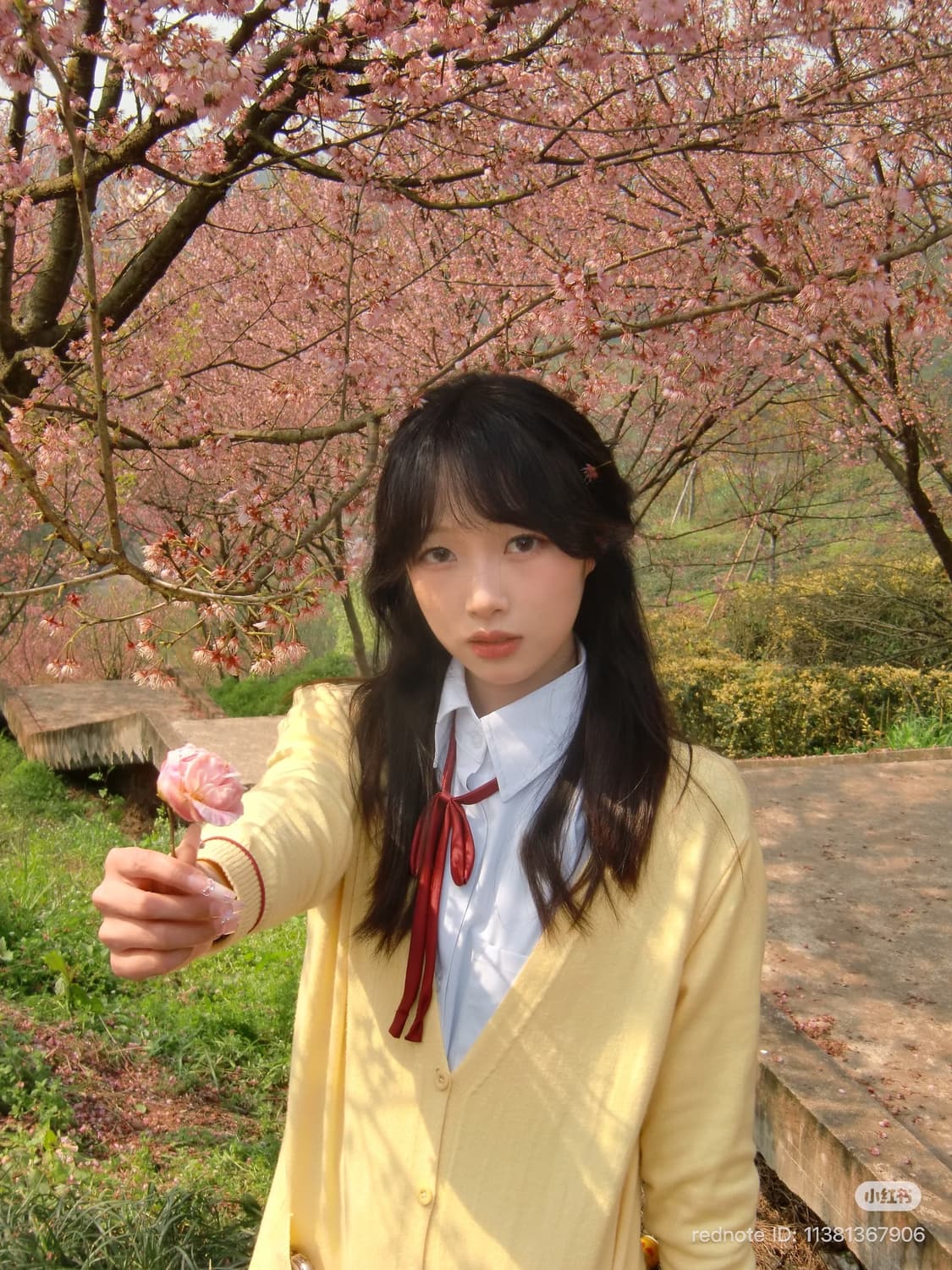 [작례 O] 카시오 엑슬림 EX-H10 상품이미지7