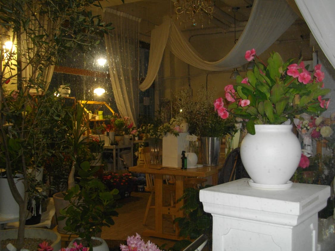 정크상품/내용필독🌟) Pentax Optio E80 상품이미지8