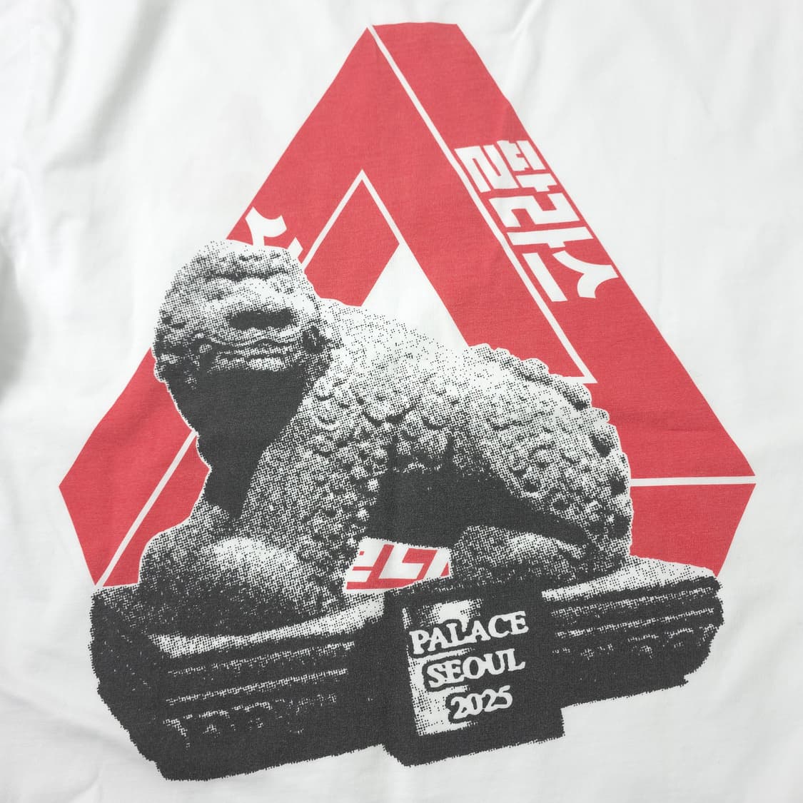팔라스 팔라스서울 코튼 티셔츠 화이트 (L) 상품이미지6
