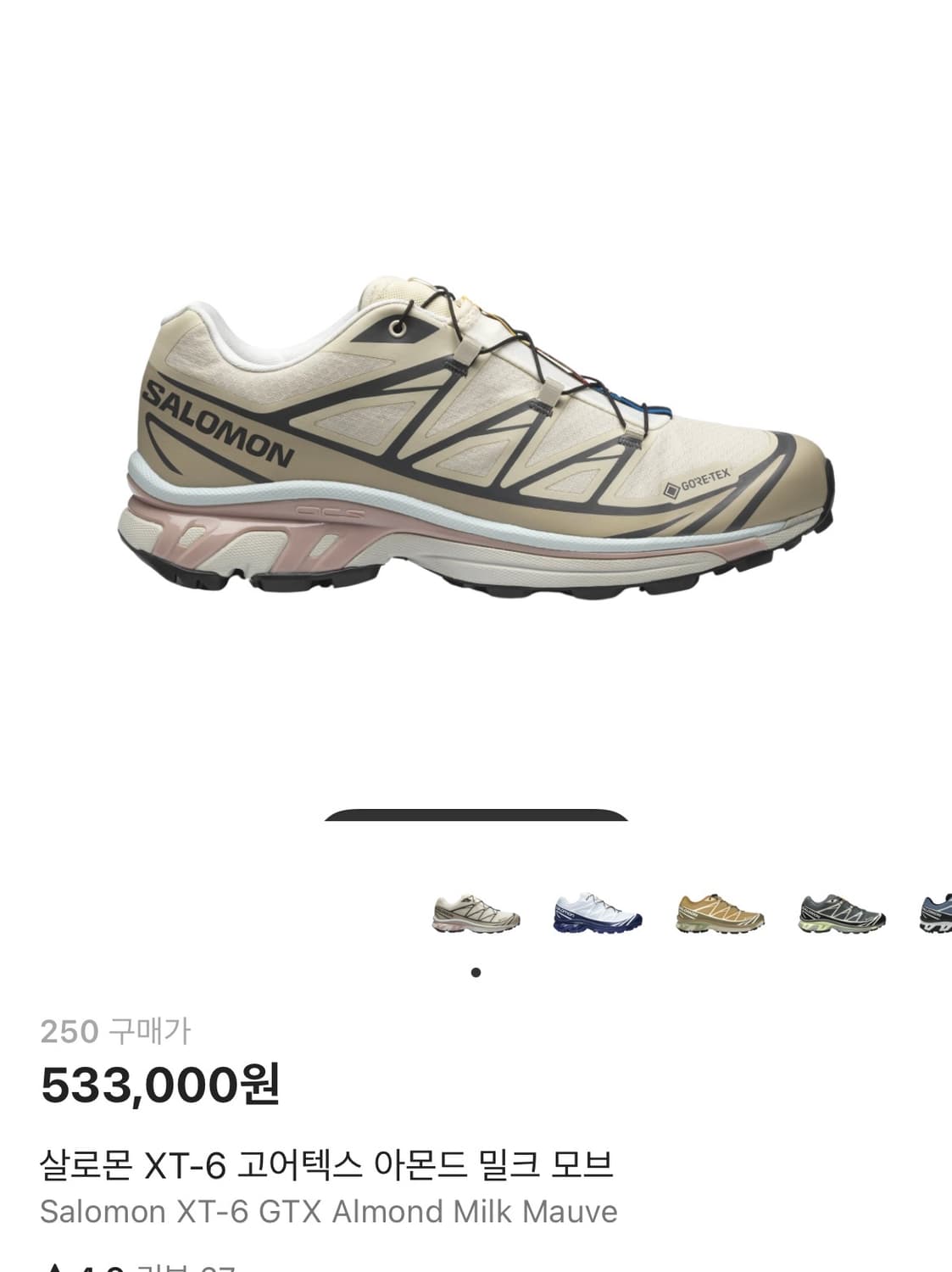 살로몬 XT-6 고어텍스 아몬드 밀크 모브 상품이미지1