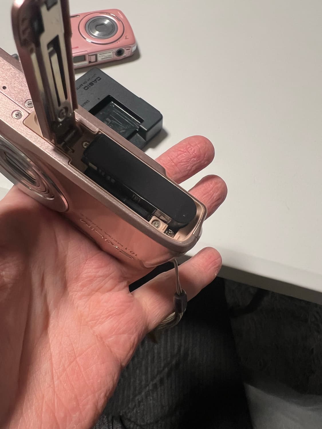 태연 자매 카메라 카시오 엑슬림 Z300 작례o 상품이미지10