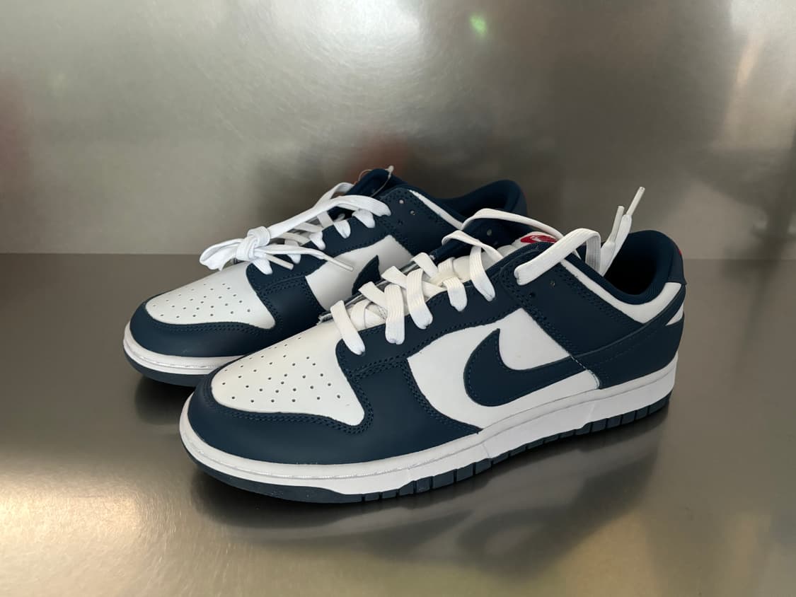 NIKE DUNK LOW RETRO VALERIAN BLUE 280 상품이미지6