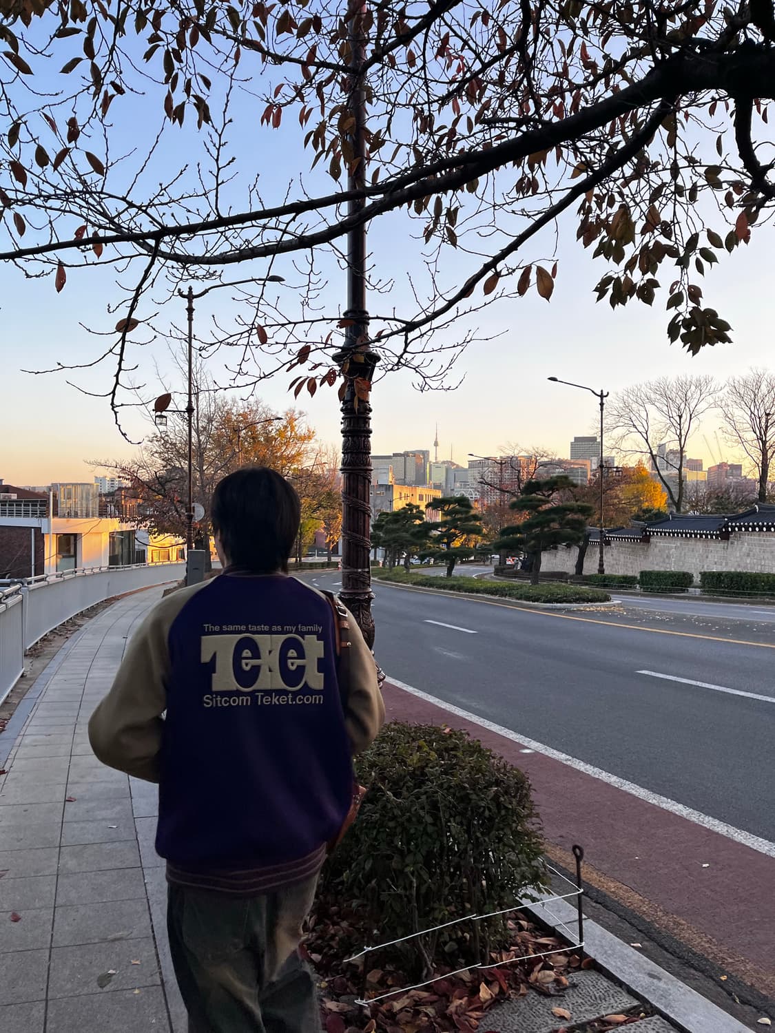 테켓 바시티 자켓 L 상품이미지2