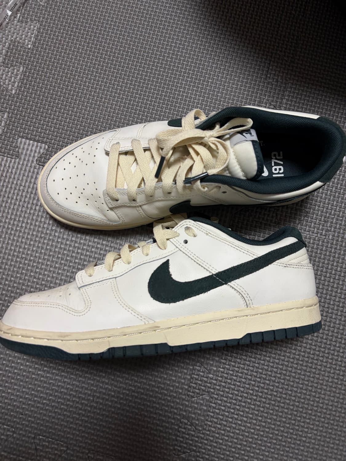 나이키 헤리티지 덩크로우 255 상품이미지1