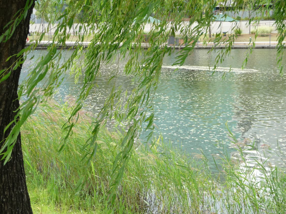 [라이카 렌즈] 파나소닉 루믹스 Panasonic dmc TZ5 디카 상품이미지6