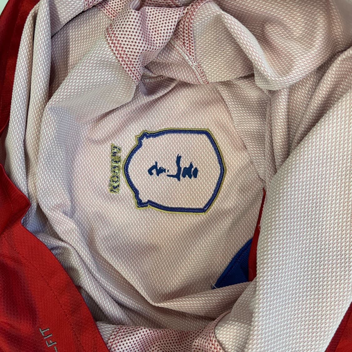 NIKE 2014-2016 대한민국 축구 국가대표팀 홈 저지 (어센틱) 상품이미지3