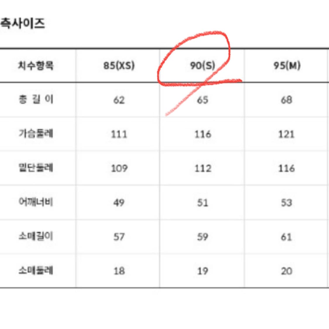 노스페이스 화이트라벨 패딩 자켓 S (공홈품절) 상품이미지6