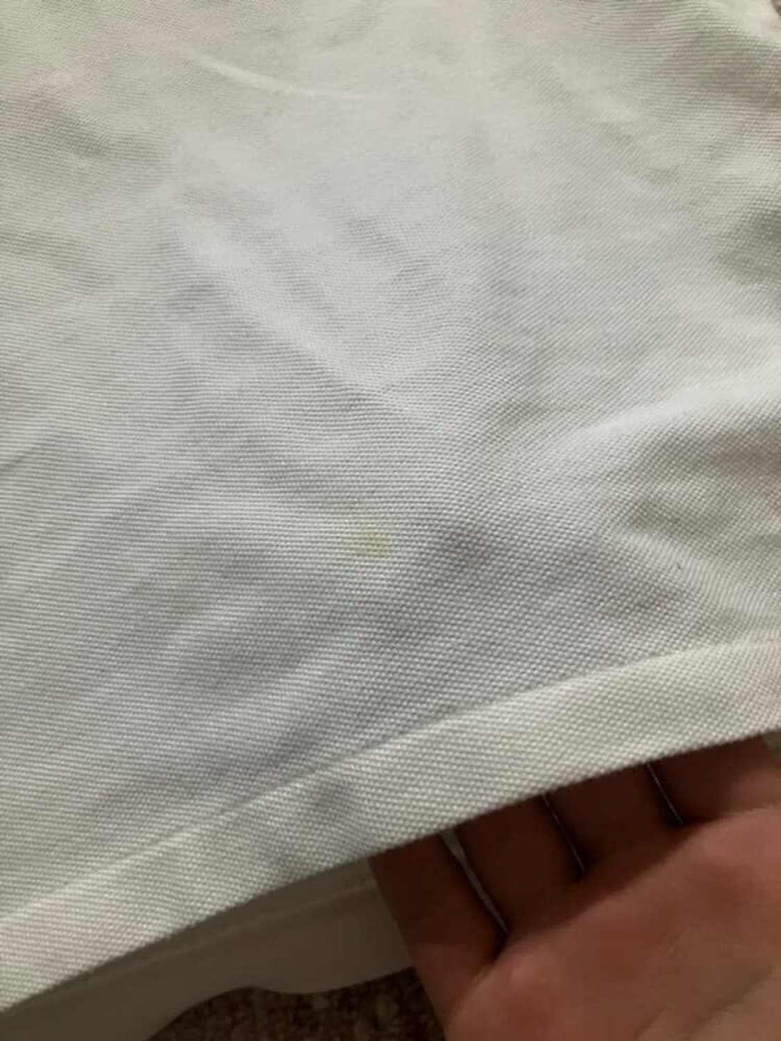 폴로 빅포니 카라티(독일) 상품이미지2