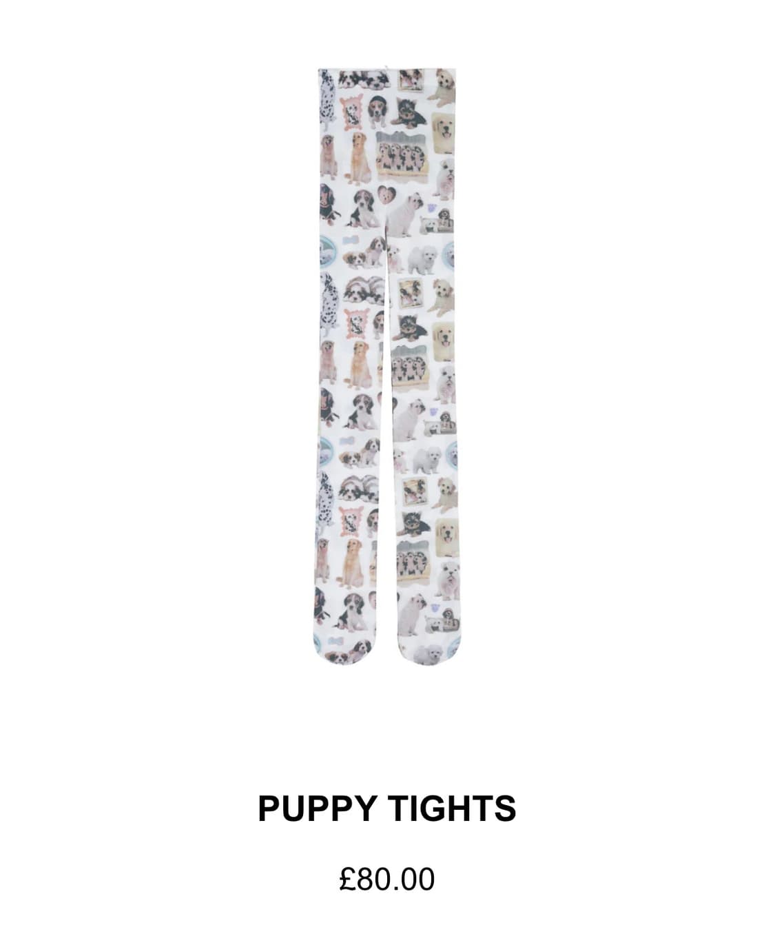 Ashley williams puppy tights 애슐리윌리엄스 스타킹 상품이미지1