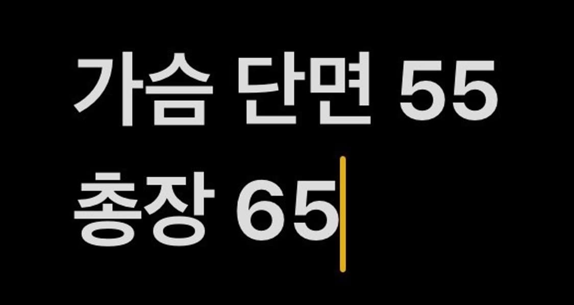 [정품/1사이즈] S&R 스포티앤리치 USA 맨투맨 그레이 b10 상품이미지7