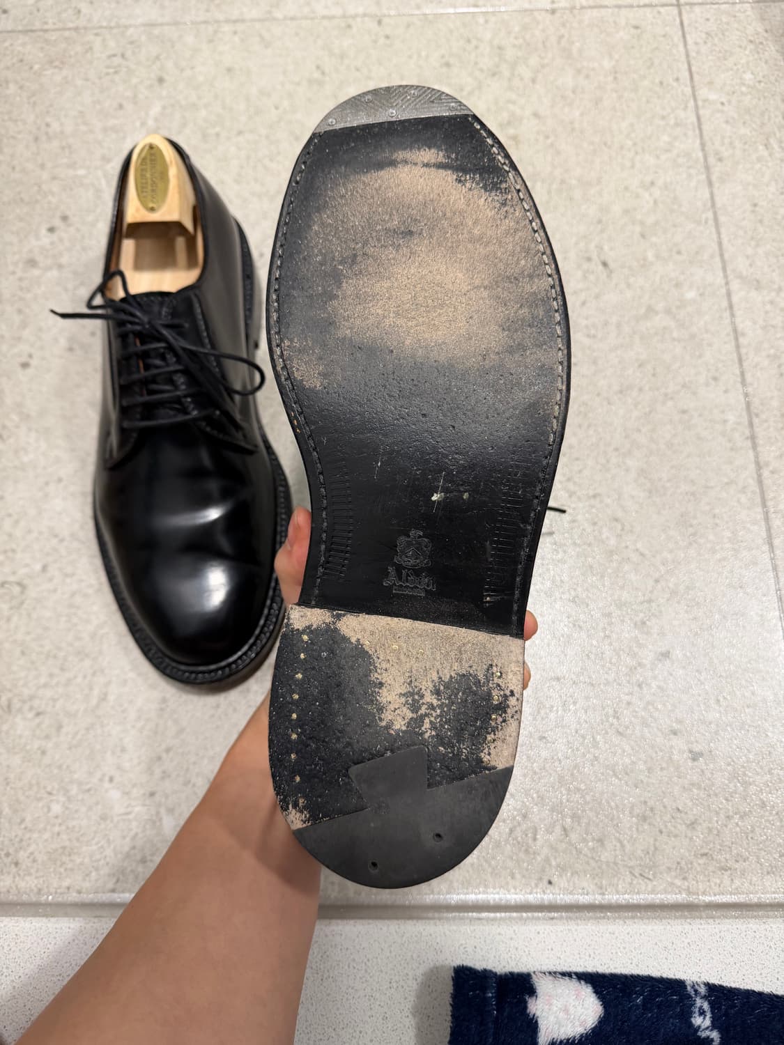 [8E, 260]알든 9901 상품이미지6