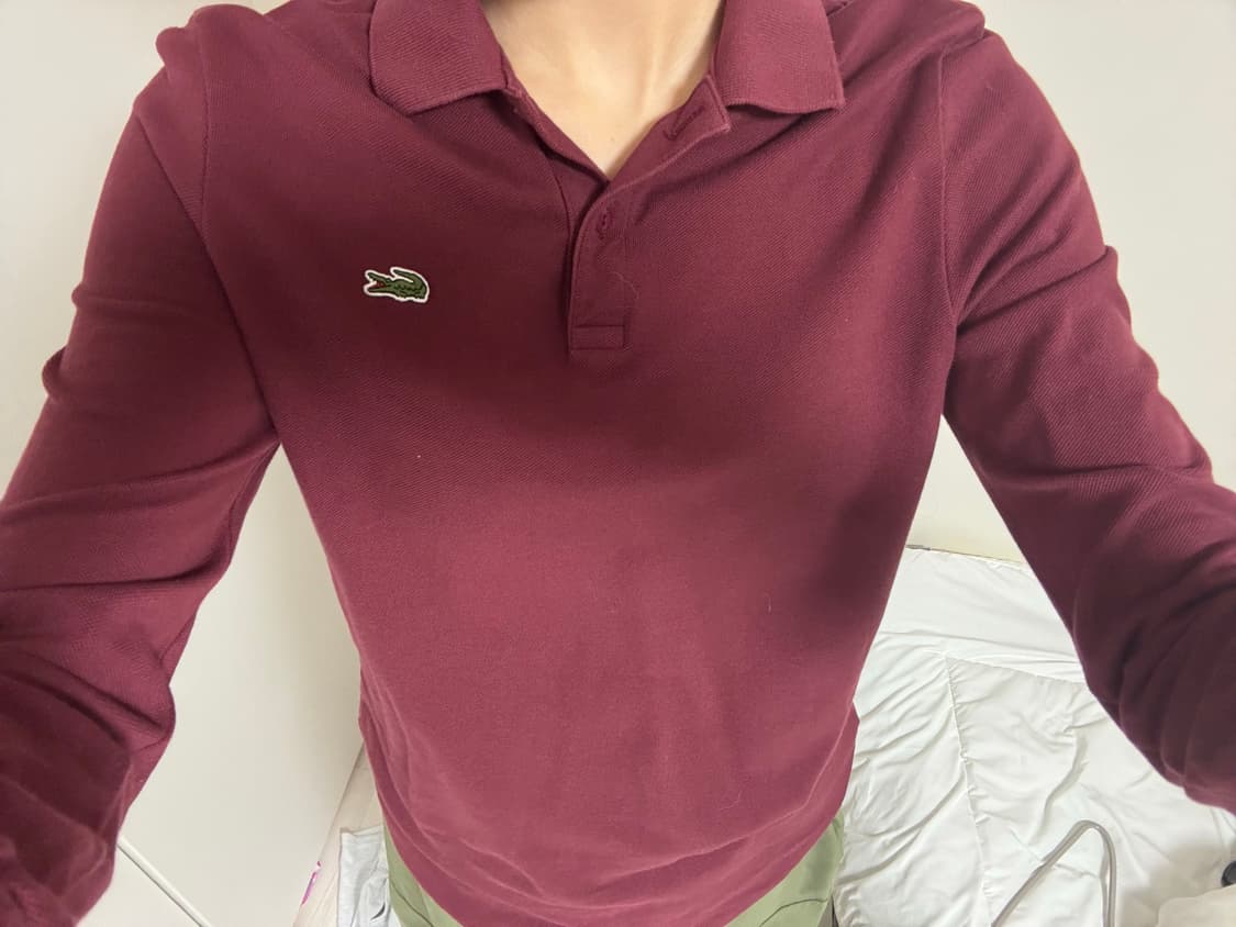 라코스테 버건디 카라티  상품이미지1