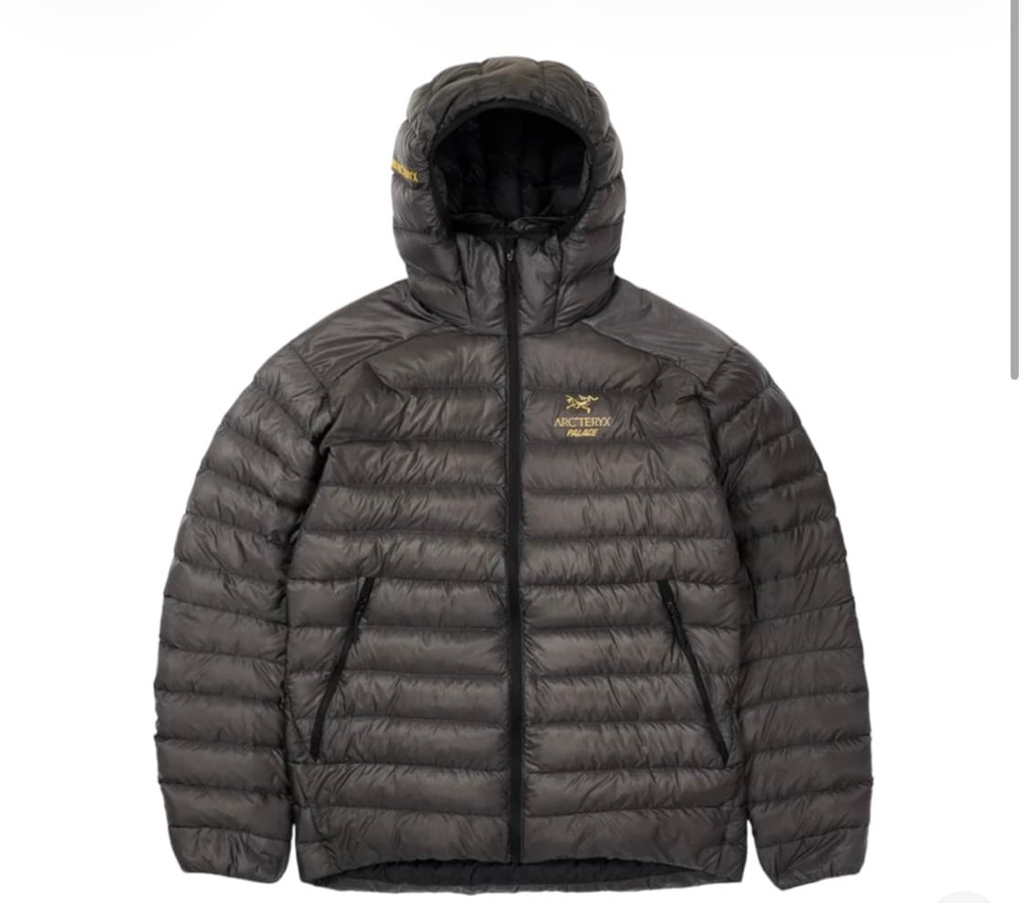 팔라스 아크테릭스 세륨 상품이미지1