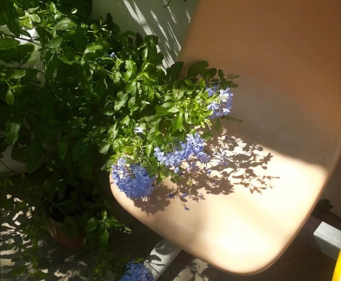 🌸 루믹스 FS2 핑크 ✨ 가볍게 들고 다니기 좋은 감성디카 💕 상품이미지6