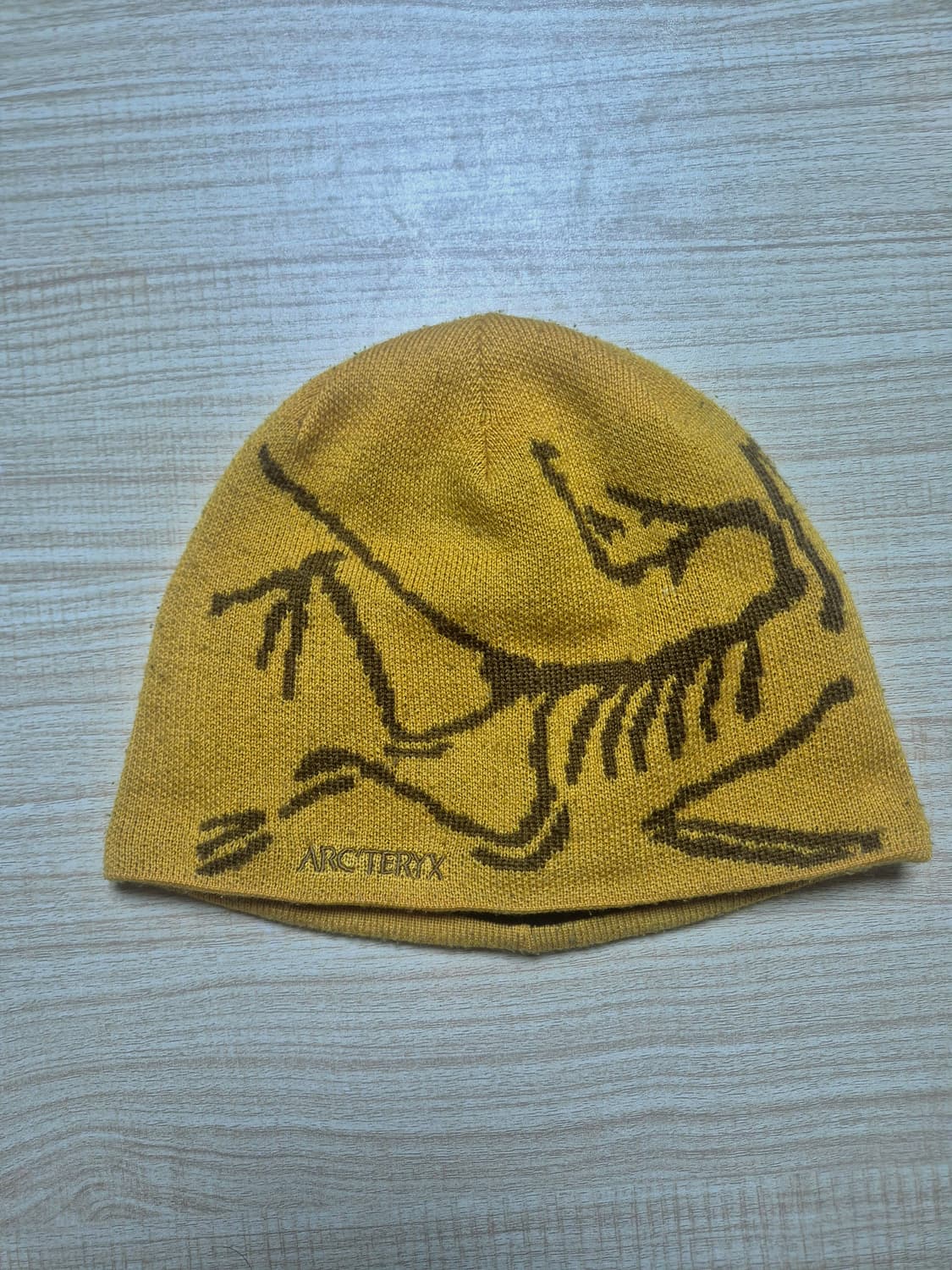 아크테릭스 버드 헤드 비니 상품이미지1