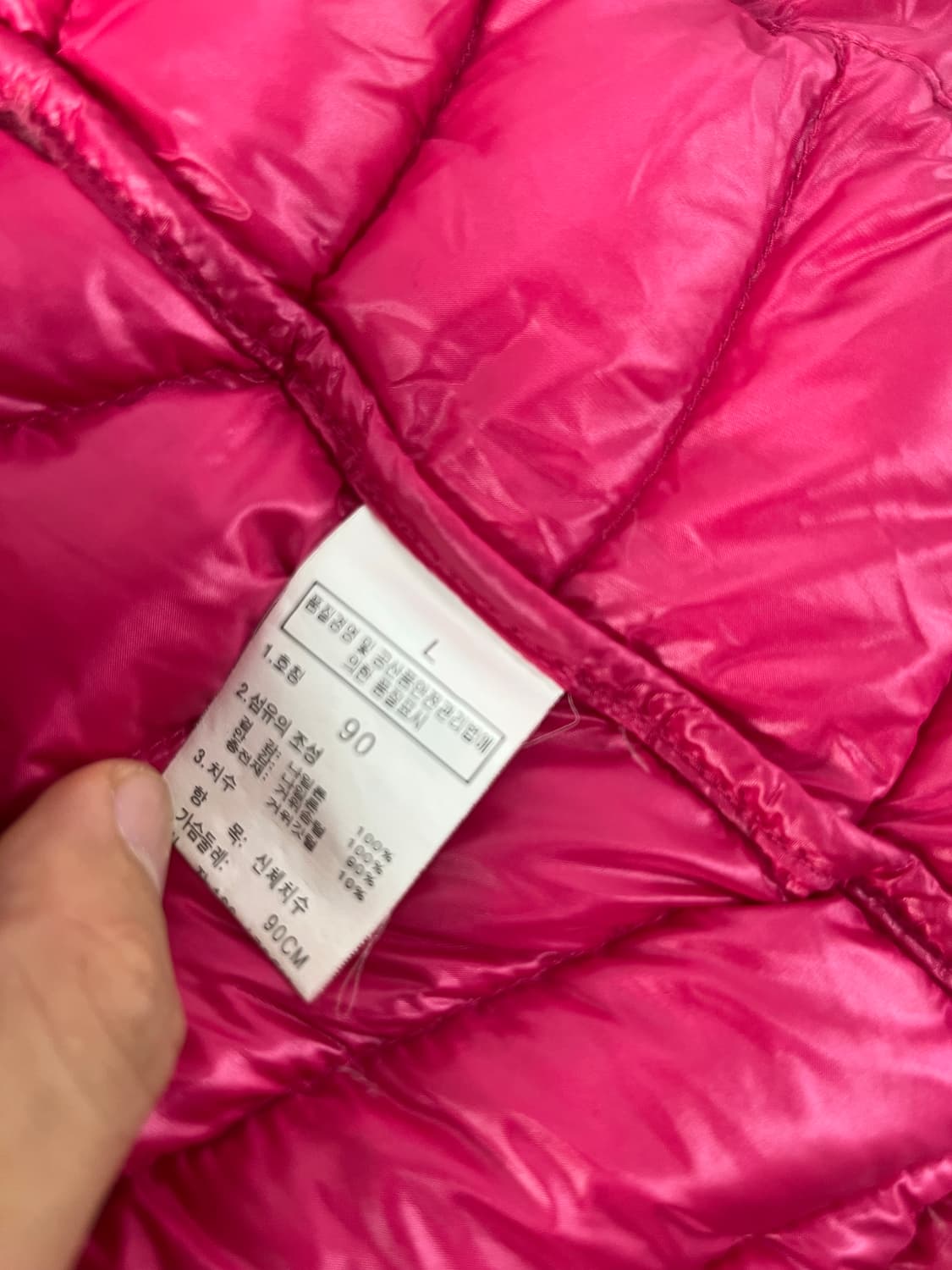 [L] 노스페이스 서밋 시리즈 구스다운 800 상품이미지4