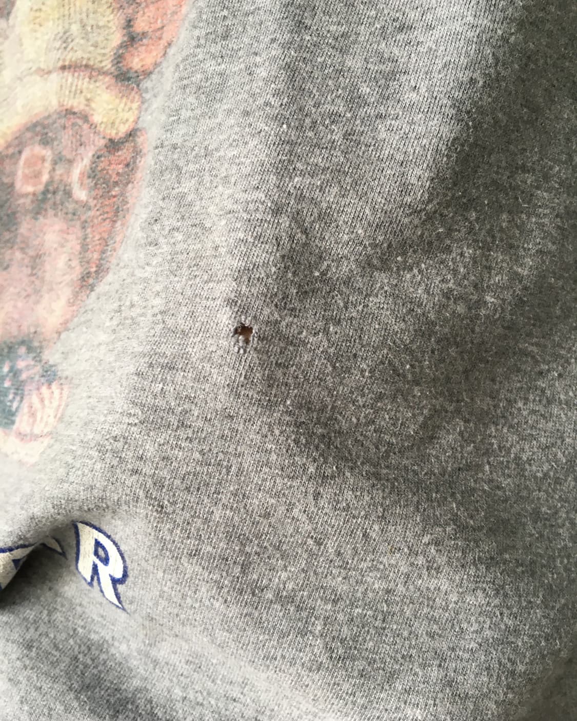 Polo bear t shirt 상품이미지3