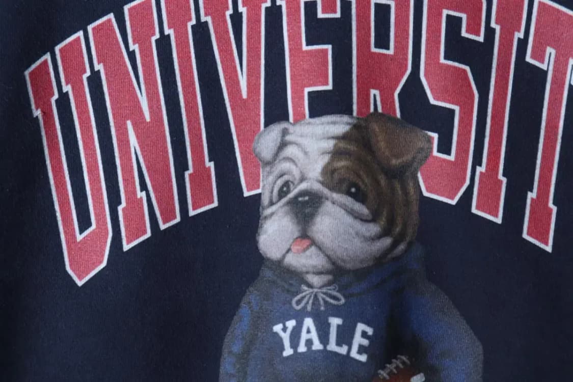 (M-L) 예일 맨투맨 티셔츠 작은사용감 빅로고 불독 기모-16D60 상품이미지5