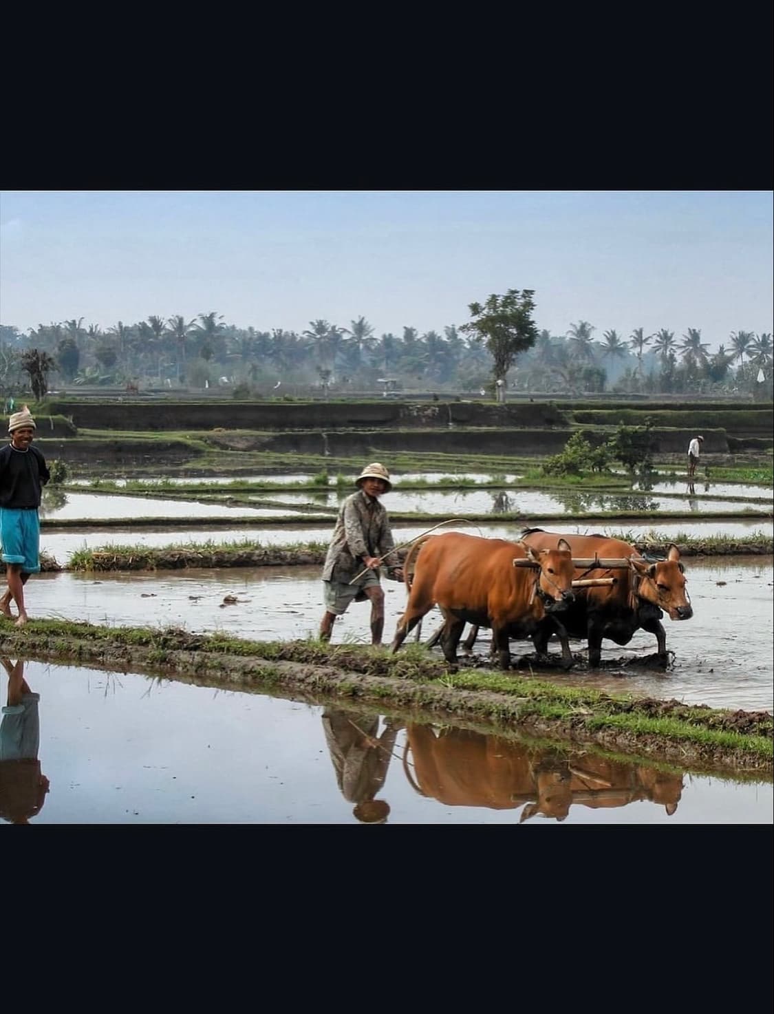 니콘 쿨픽스 4300 디지털카메라 상품이미지8