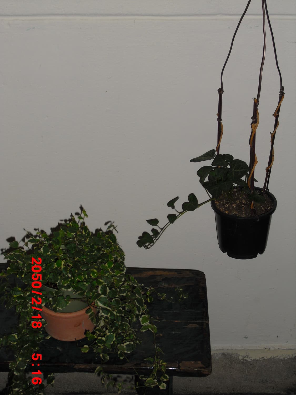 (풀박스) 카시오 exilim ex-z2 디지털카메라 빈티지디카 상품이미지9