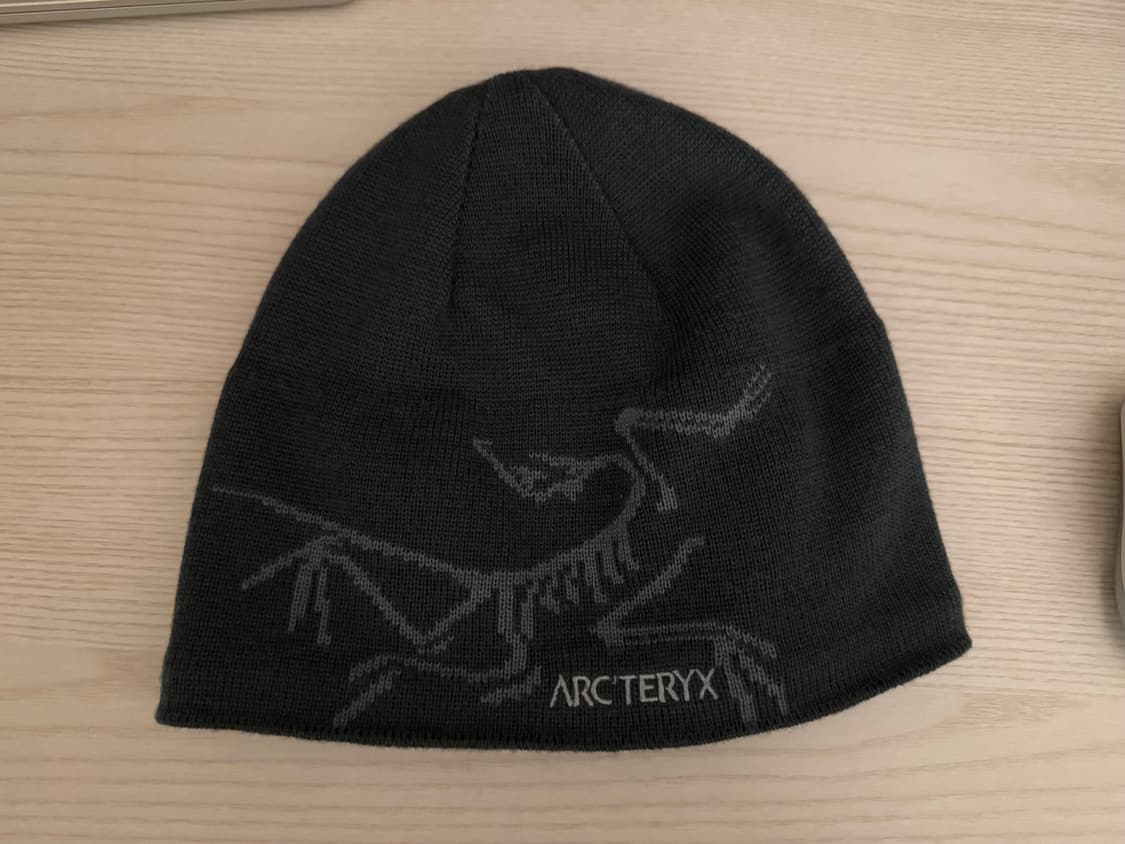 아크테릭스 버드 헤드 토크 비니 상품이미지1