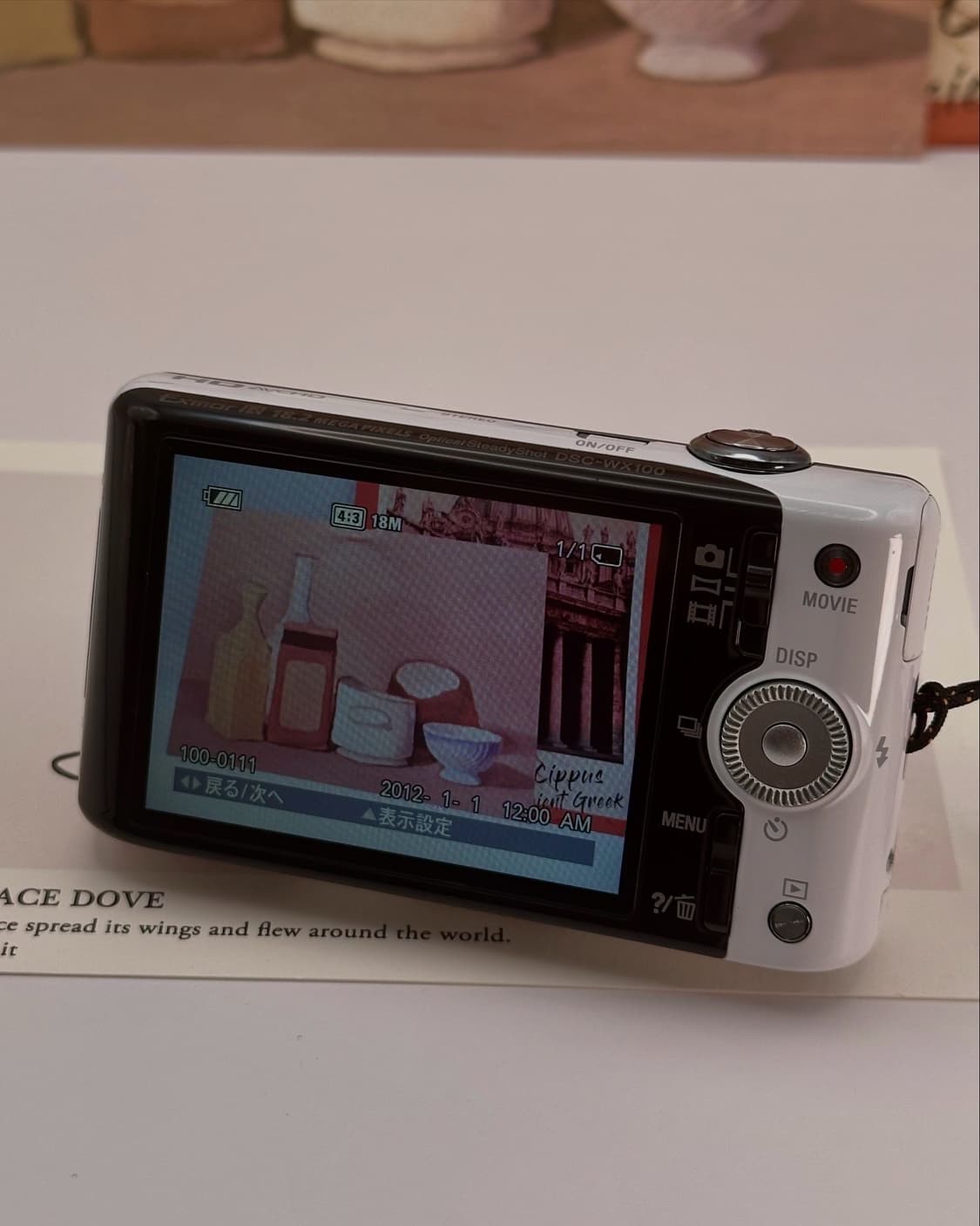 소니SONY Cyber-shot DSC-WX100 상품이미지7