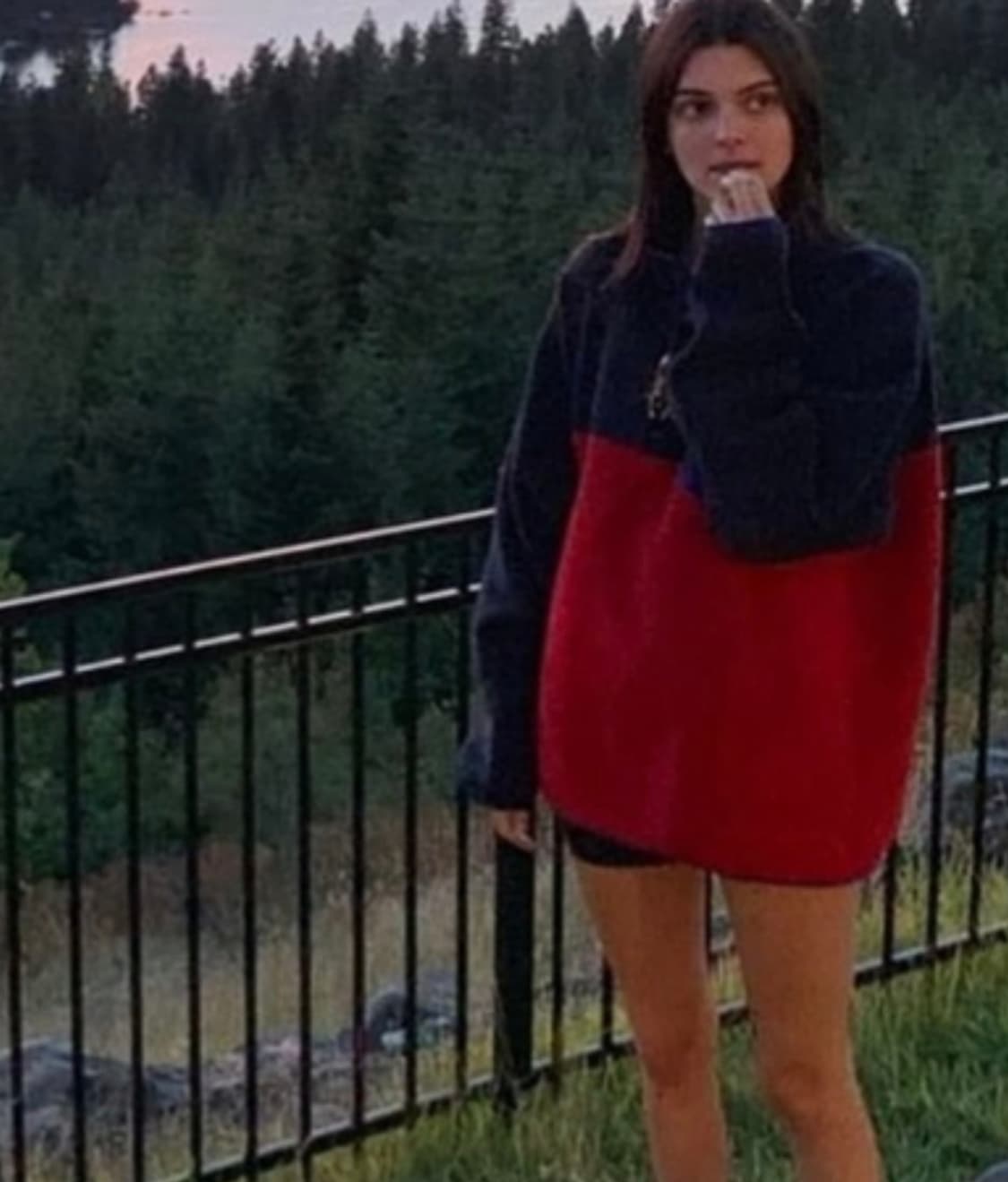 파타고니아 신칠라 네이비레드L 상품이미지1