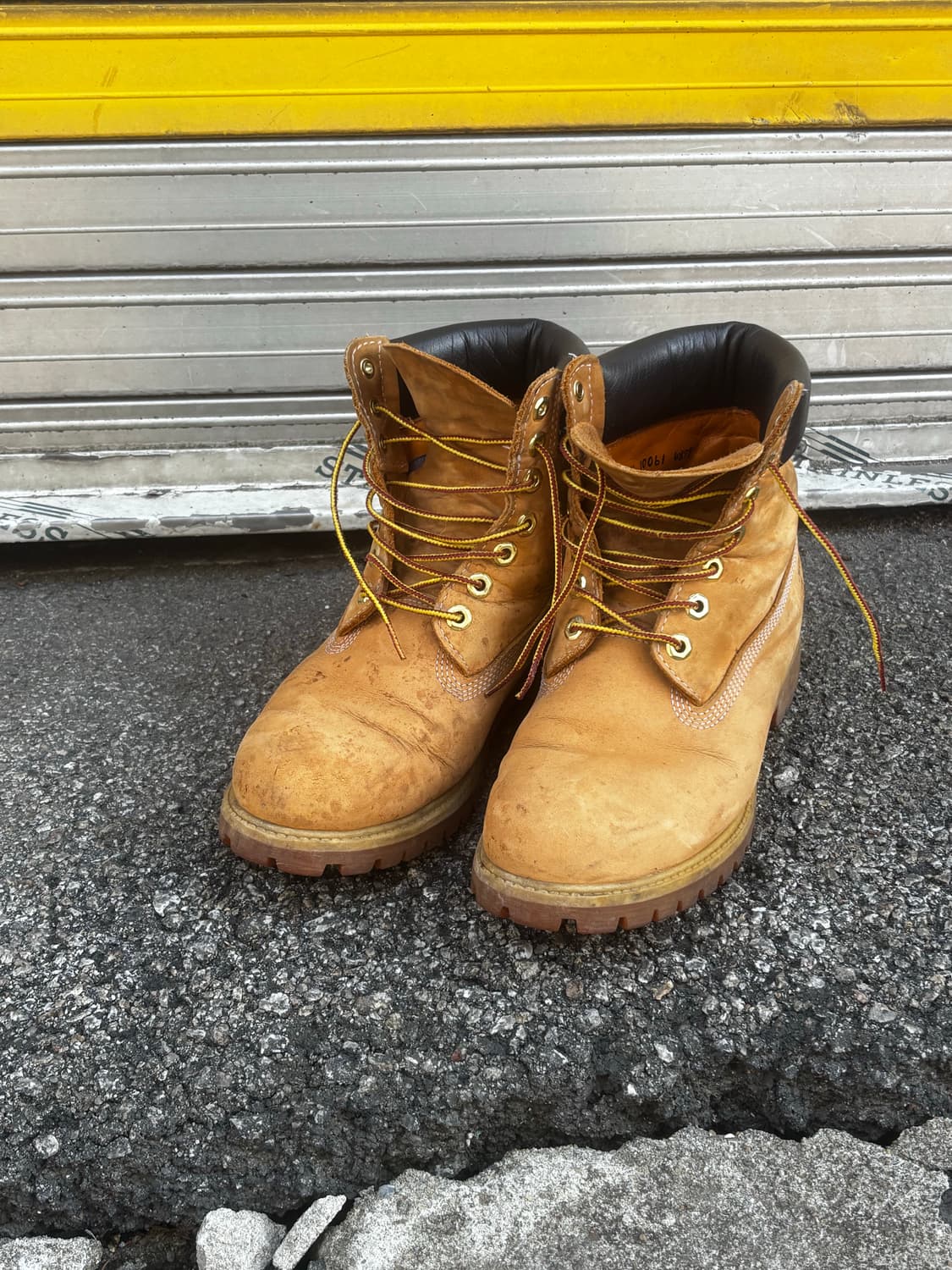 팀버랜드 6인치 클래식 워크부츠 10061 상품이미지2