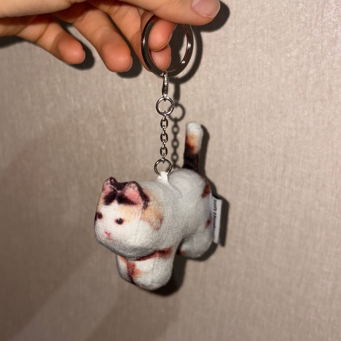 Soft thumnail 소프트섬네일 Jigoo 키링 상품이미지7