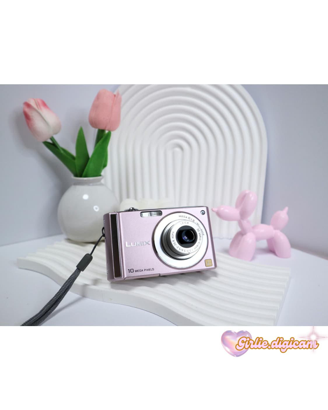 라이카&인기뽀영!) Leica x Panasonic FS20 디카 상품이미지2