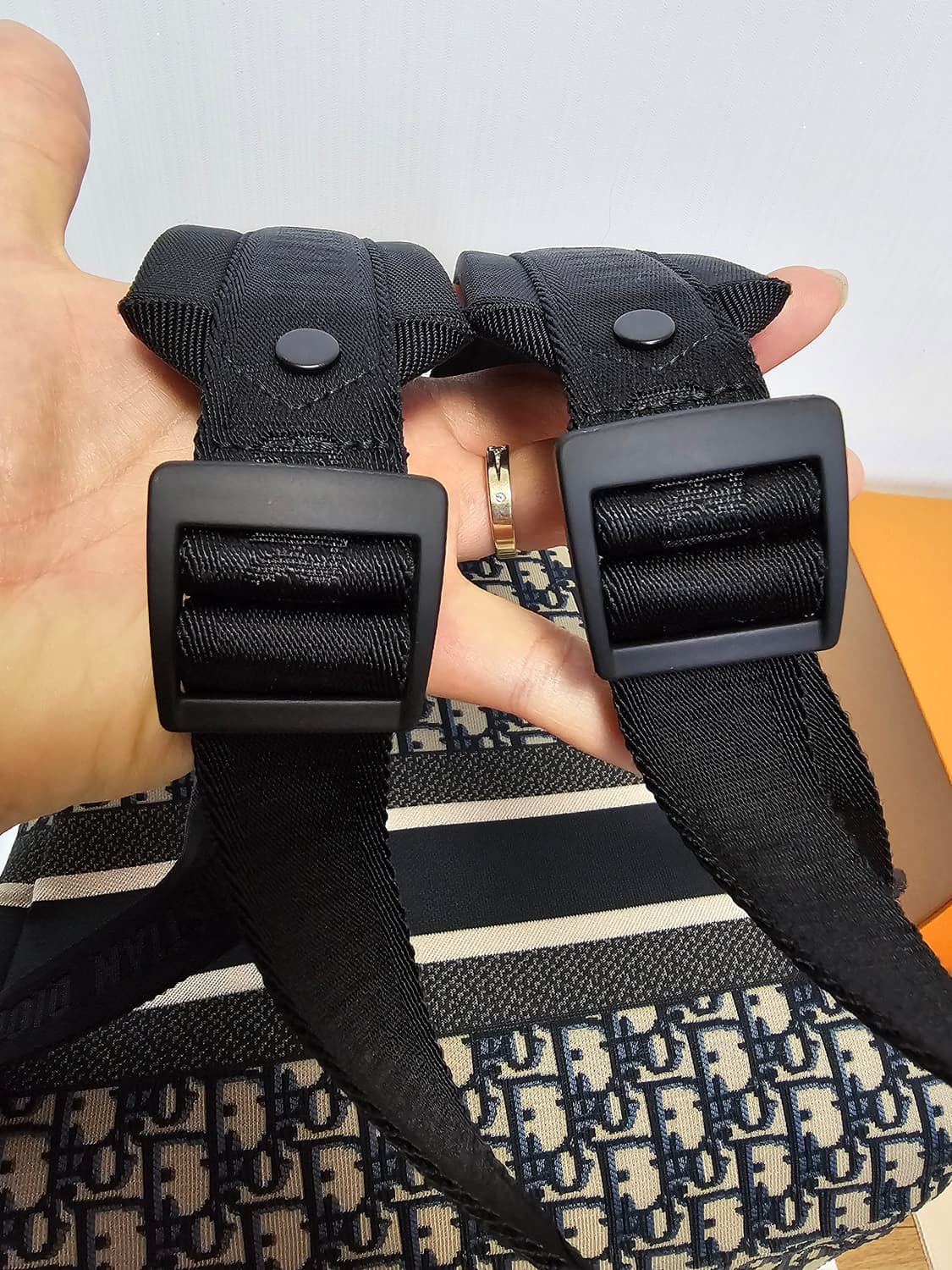 디올 오블리크 Travel 시그니처 여성 백팩 상품이미지5