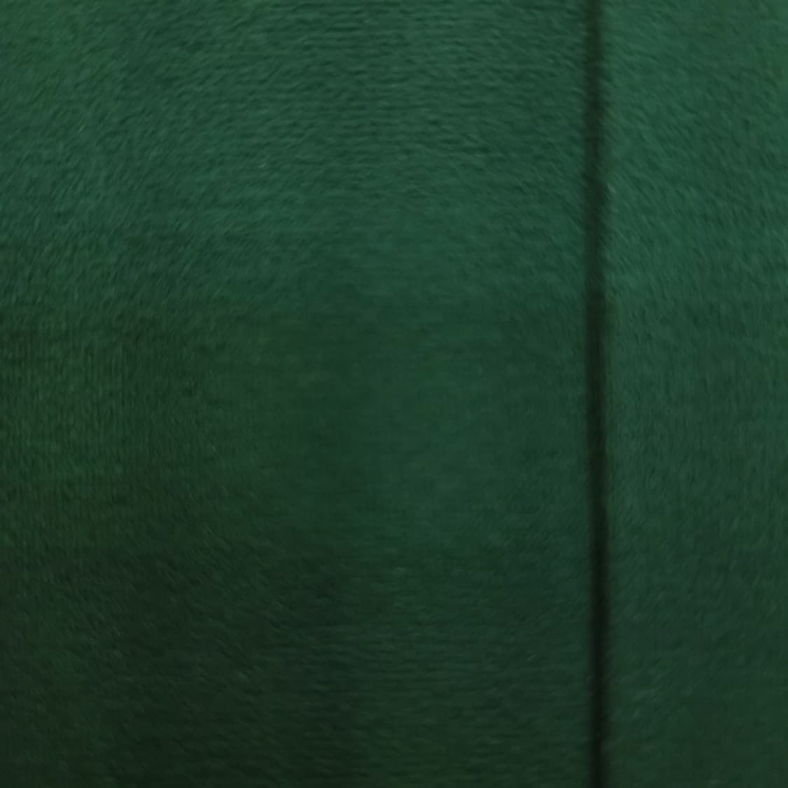 APALIGHT 일본 80D 딥그린 팬티 스타킹 상품이미지1