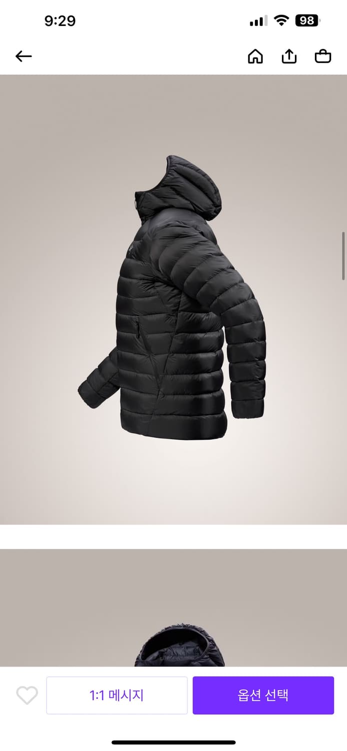 아크테릭스 25FW 세륨 후디 경량패딩 상품이미지3