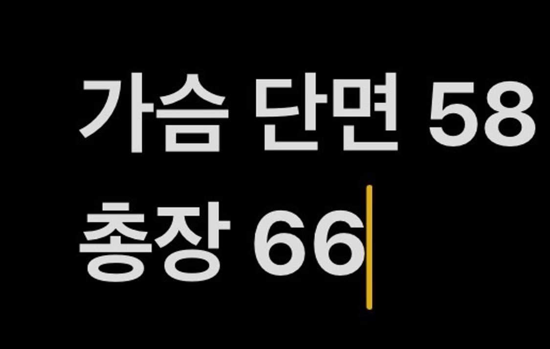 [정품/100] 롯데 자이언츠 춘추 점퍼 b16 상품이미지8