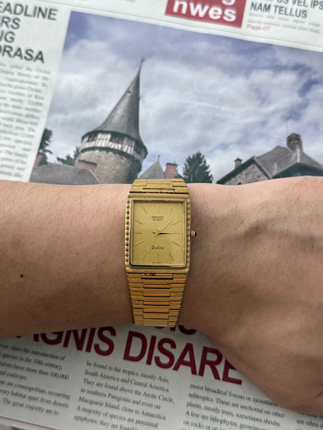 Seiko 세이코 Dolce Gold Square 상품이미지6