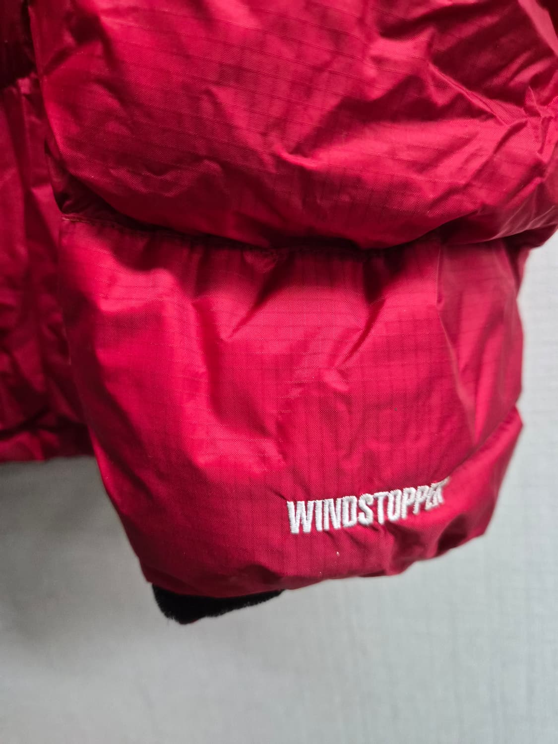 M) 노스페이스 서밋시리즈 윈드스토퍼 구스다운 패딩 팝니다 상품이미지4