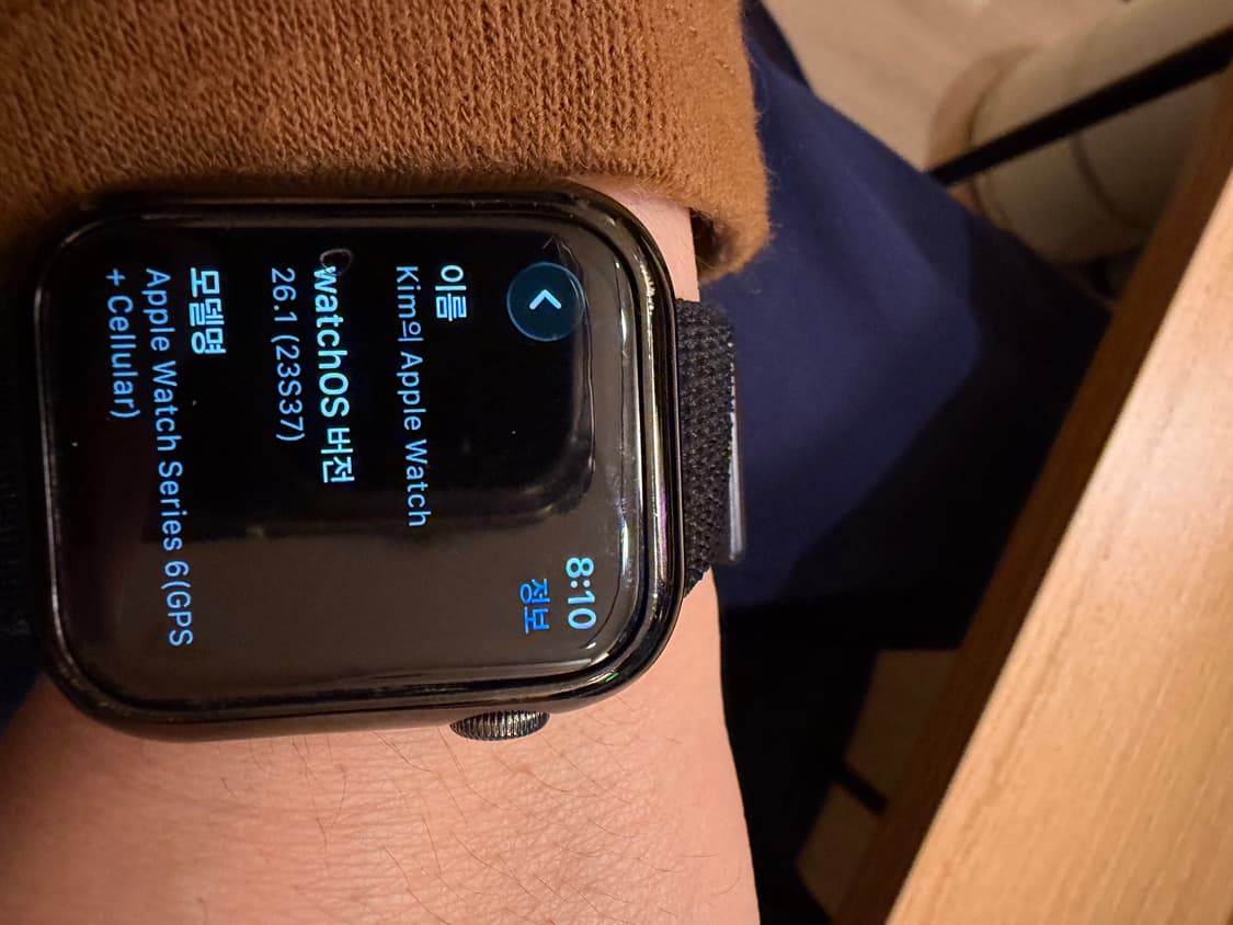 애플워치6 그래파이트 스테인레스 44 셀룰러 상품이미지1