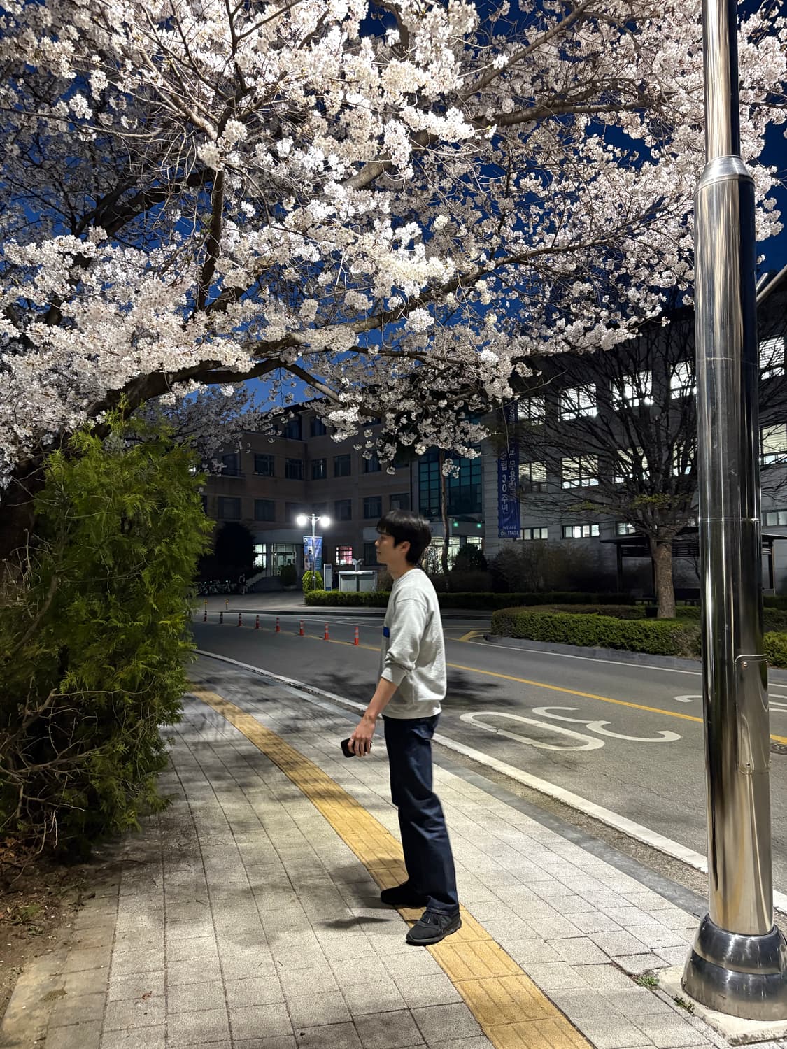 Lvc 47501 30/32 상품이미지7